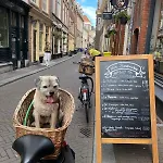 The Sunny Suite - R.Q.C.